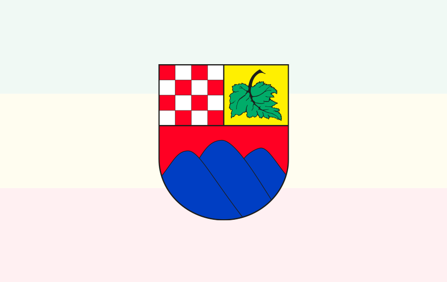 XLVII Nadzwyczajna Sesja Rady Miejskiej w Boguszowie-Gorcach