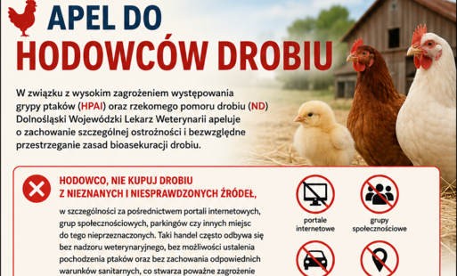 Zdjęcie do Apel do hodowc&oacute;w drobiu